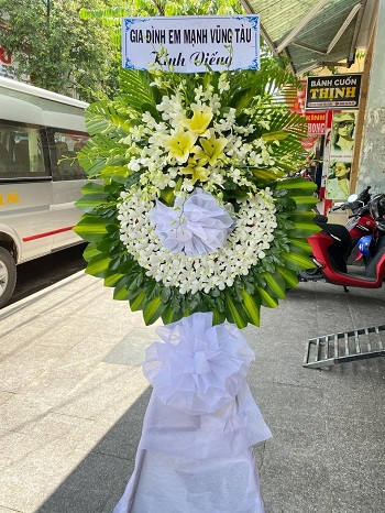 snapedit_1748080557393_0_11zon