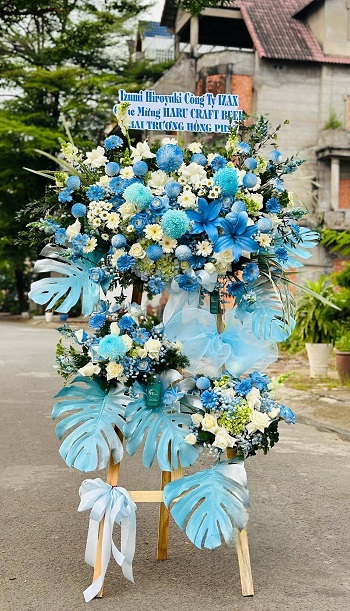 snapedit_1748080557393_10_11zon