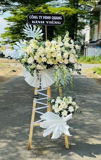 snapedit_1748080557393_13_11zon