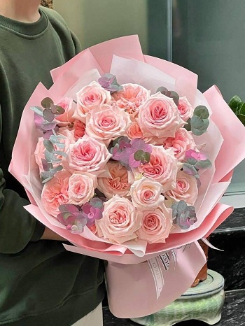 snapedit_1748080557393_23_11zon