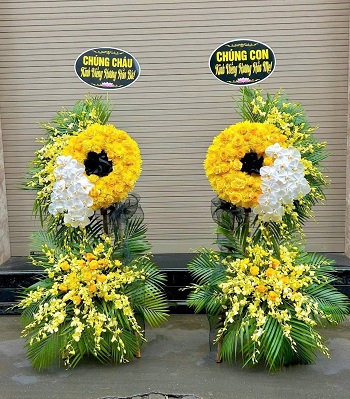 snapedit_1748080557393_31