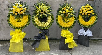 snapedit_1748080557393_4_11zon