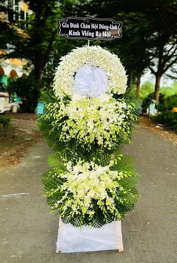 snapedit_1748080557393_8_11zon