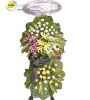 shop-hoa-tuoi-o-thi-tran-tan-minh-binh-thuan - ảnh nhỏ  1