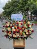 hlg1-lang-hoa-dep-o-cu-chi - ảnh nhỏ  1