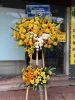ktg9-lang-hoa-mung-khai-truong-o-nha-be - ảnh nhỏ  1