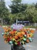 sgdl259-tiem-hoa-tuoi-o-xa-phuoc-thanh-huyen-cu-chi - ảnh nhỏ  1