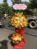 sgdl261-dat-hoa-giao-o-xa-tan-an-hoi-huyen-cu-chi - ảnh nhỏ  1
