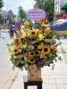 sgdl278-dat-hoa-online-o-xa-trung-chanh-huyen-hoc-mon - ảnh nhỏ  1