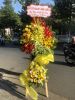 sgdl295-giao-hoa-tai-xa-quy-duc-huyen-binh-chanh - ảnh nhỏ  1