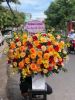 sgdl304-mien-phi-giao-o-xa-tam-thon-hiep-huyen-can-gio - ảnh nhỏ  1
