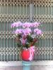 sgdl307-cua-hang-hoa-tuoi-o-xa-long-hoa-huyen-can-gio - ảnh nhỏ  1