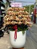 hn21-dat-hoa-online-tai-phuong-cua-dong-quan-hoan-kiem - ảnh nhỏ  1