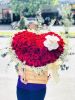 hn40-mua-hoa-tuoi-o-phuong-thuy-khue-quan-tay-ho - ảnh nhỏ  1