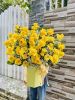 hn133-giao-hoa-hoa-toc-o-phuong-my-dinh-2-quan-nam-tu-liem - ảnh nhỏ  1
