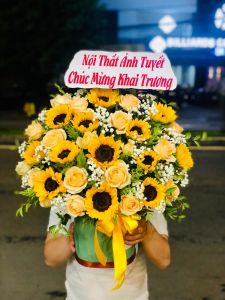 HG3 - Chúc Mừng Ngày Lễ