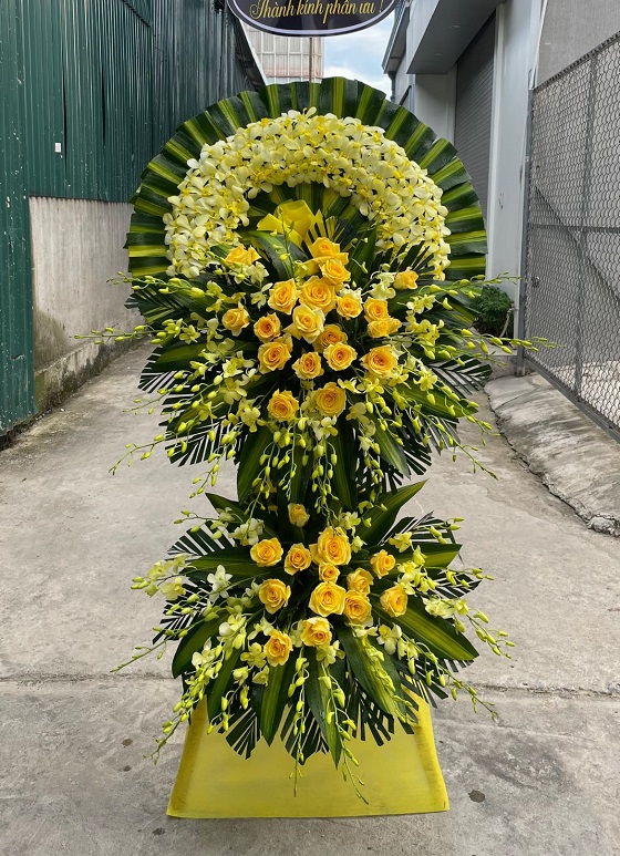 HVDL877- Thành Tâm