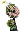 shop-hoa-tuoi-o-thi-tran-mo-cay-ben-tre - ảnh nhỏ  1