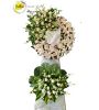 shop-hoa-tuoi-o-thi-tran-chau-thanh-ben-tre - ảnh nhỏ  1