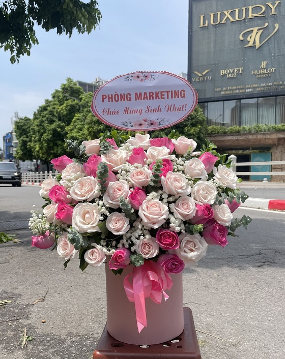 HG41- Xinh đẹp và thành công